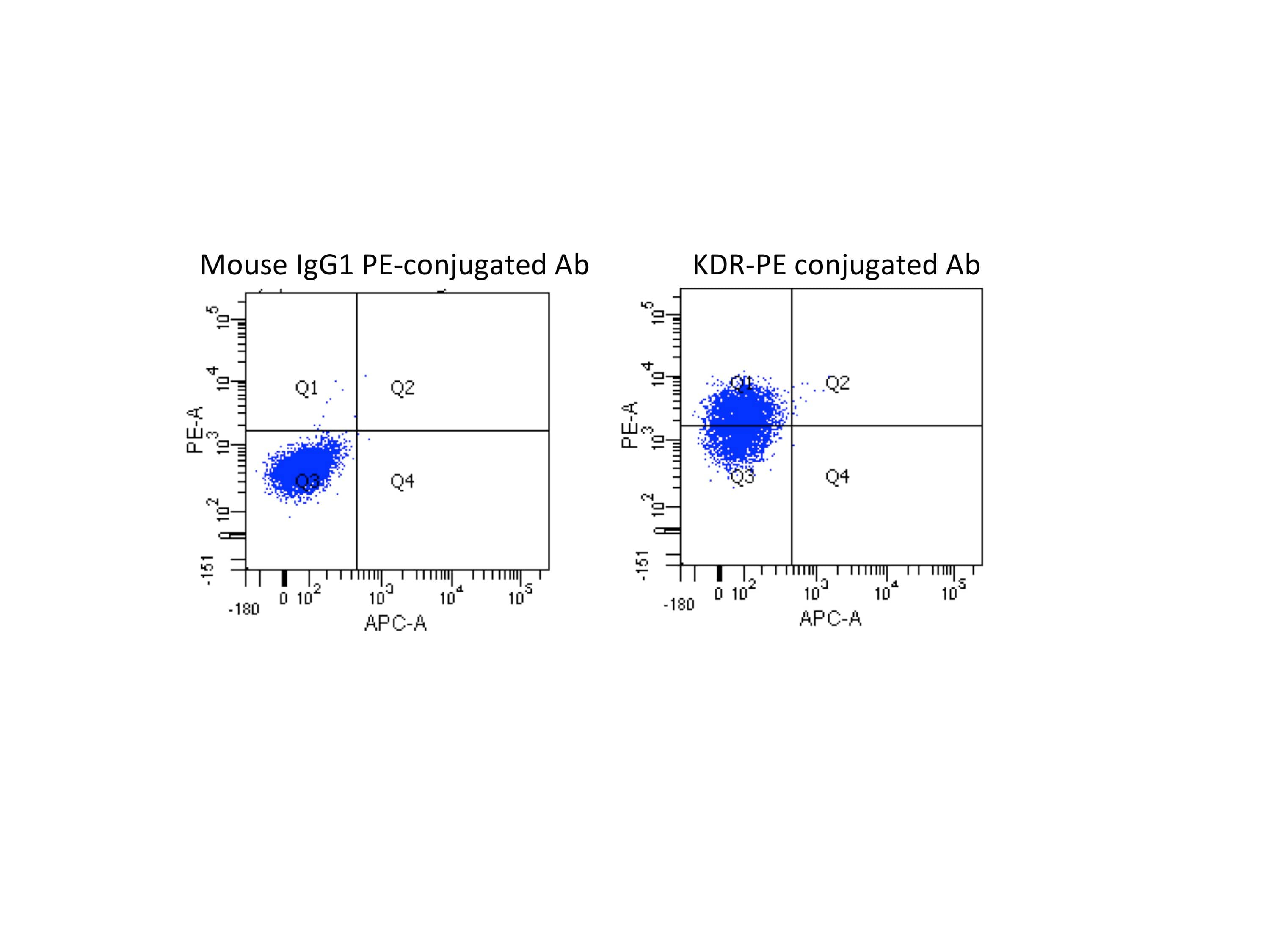 Mouse IgG1 PE-conjugated Antibody: R&D Systems